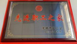 荻港海螺工會榮獲蕪湖市“先進(jìn)職工之家”榮譽稱號