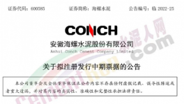 缺錢！海螺子公司“架空”！“借錢”100億 ！