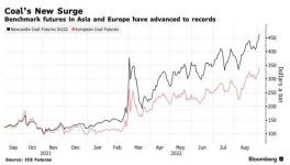 瘋了！這種原料價格破紀錄！水泥廠“哭了”！