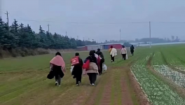 反撲！多省工地停工！水泥廠停發！商混站“告急”！