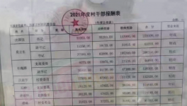 工資曝光！村長“秒殺”水泥廠高管！