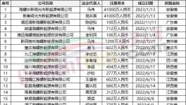 瘋狂！“上下”通吃！海螺連續(xù)成立50多家公司！