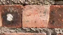 氣憤！“山寨”水泥！“假水泥”泛濫！