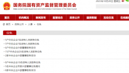 大動作！水泥龍頭企業高層“大換血”！